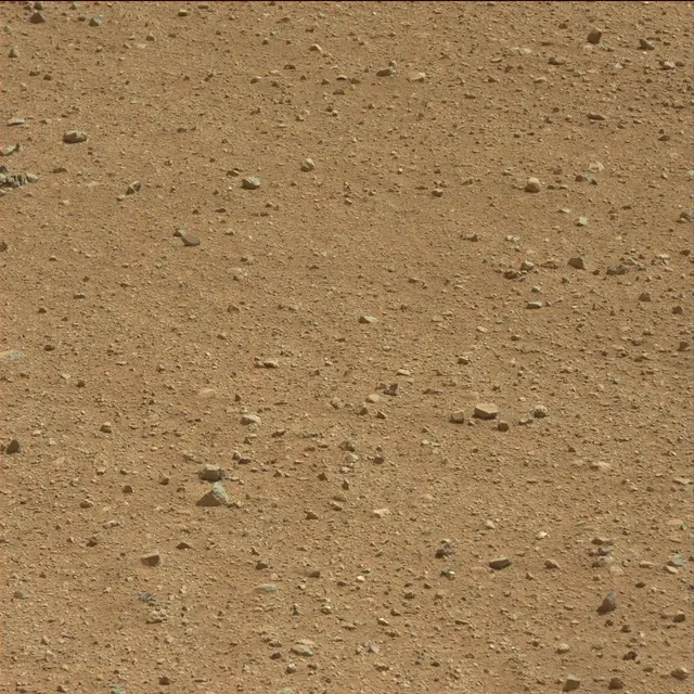Sol 25: Mast Camera (Mastcam)