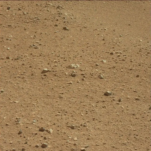 Sol 25: Mast Camera (Mastcam)