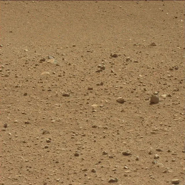 Sol 25: Mast Camera (Mastcam)