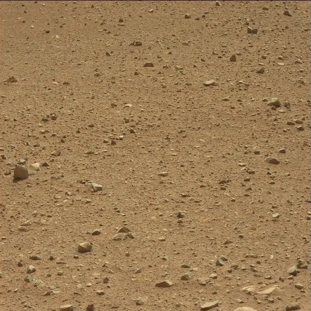 Sol 25: Mast Camera (Mastcam)