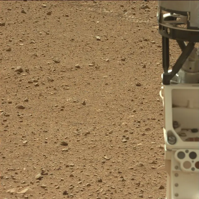 Sol 25: Mast Camera (Mastcam)
