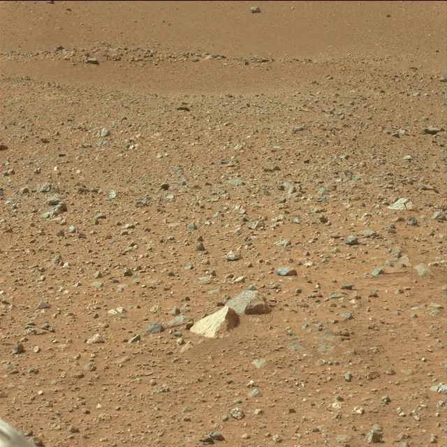 Sol 25: Mast Camera (Mastcam)