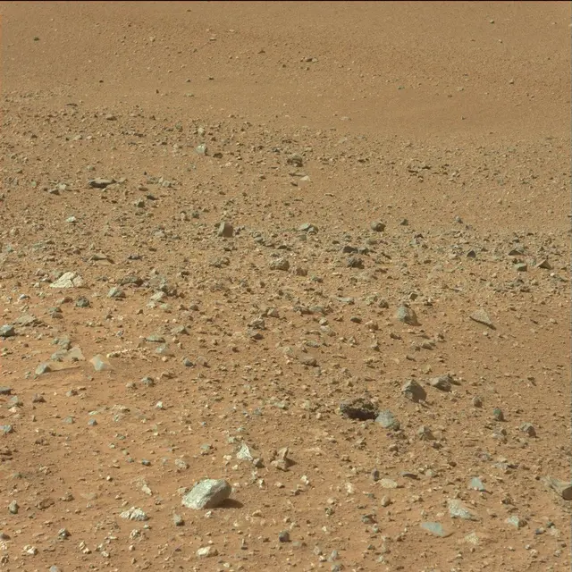 Sol 25: Mast Camera (Mastcam)