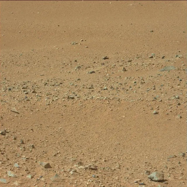 Sol 25: Mast Camera (Mastcam)