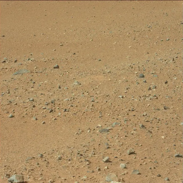 Sol 25: Mast Camera (Mastcam)