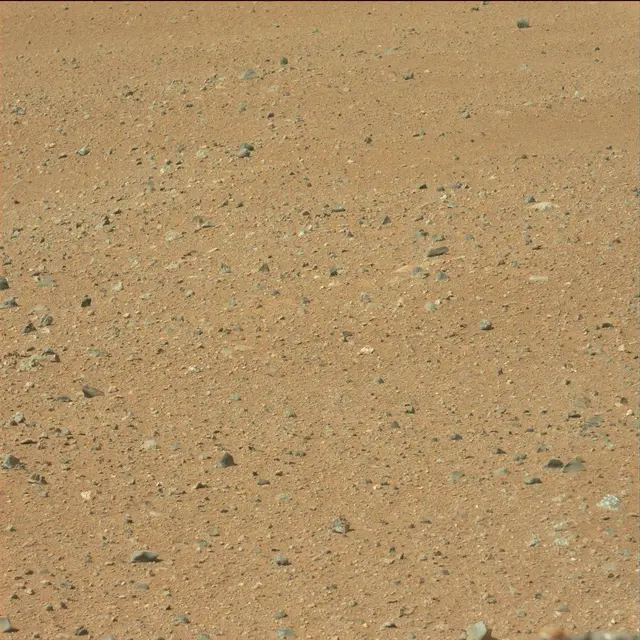 Sol 25: Mast Camera (Mastcam)