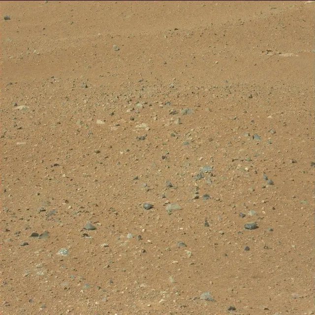 Sol 25: Mast Camera (Mastcam)