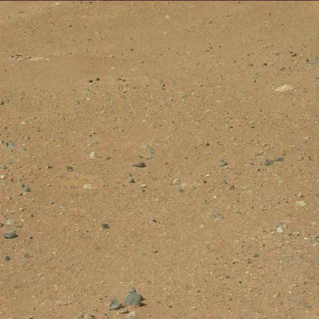 Sol 25: Mast Camera (Mastcam)