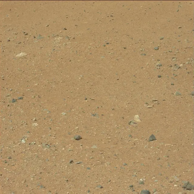 Sol 25: Mast Camera (Mastcam)
