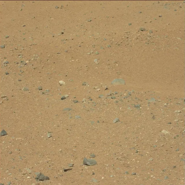 Sol 25: Mast Camera (Mastcam)