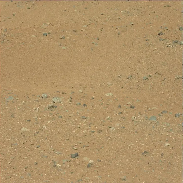 Sol 25: Mast Camera (Mastcam)