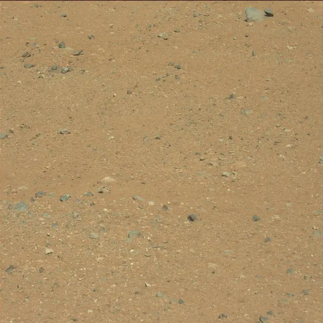 Sol 25: Mast Camera (Mastcam)
