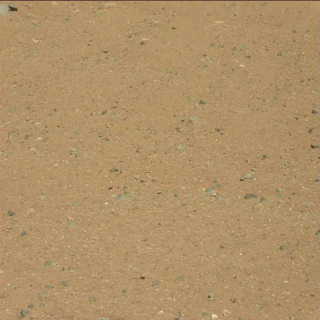 Sol 25: Mast Camera (Mastcam)