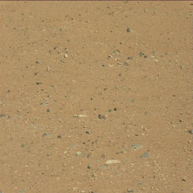 Sol 25: Mast Camera (Mastcam)