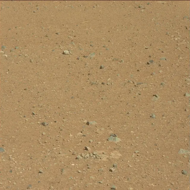 Sol 25: Mast Camera (Mastcam)