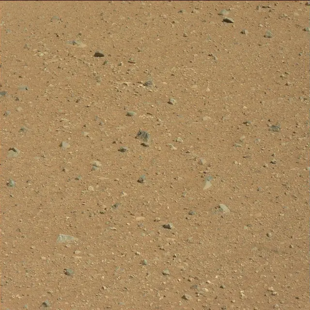 Sol 25: Mast Camera (Mastcam)