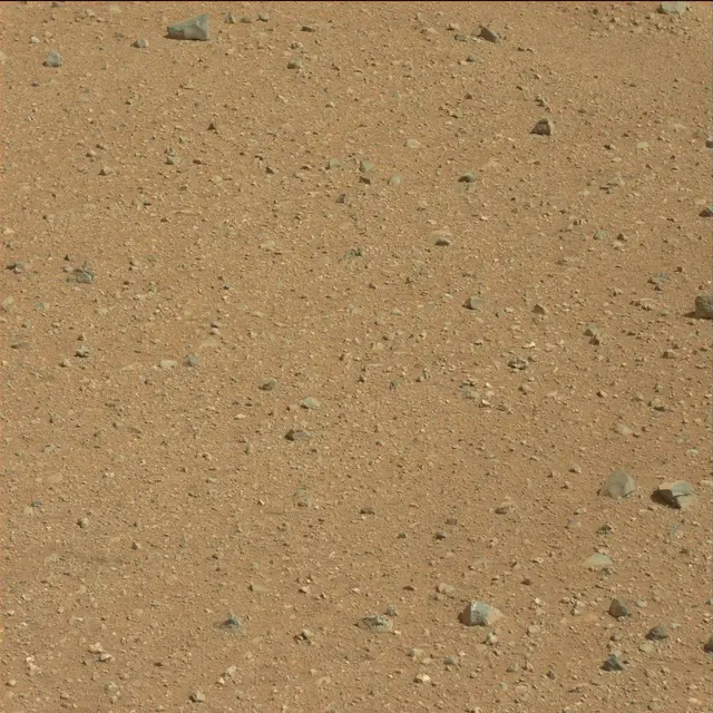Sol 25: Mast Camera (Mastcam)