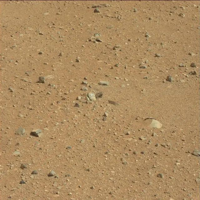 Sol 25: Mast Camera (Mastcam)
