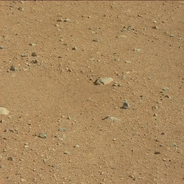 Sol 25: Mast Camera (Mastcam)