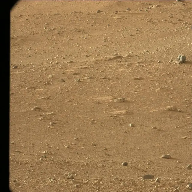 Sol 25: Mast Camera (Mastcam)