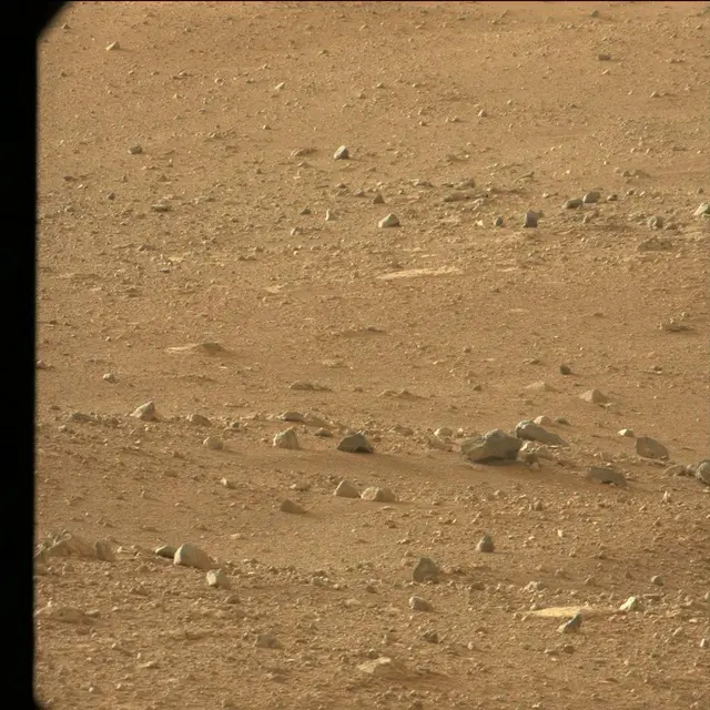 Sol 25: Mast Camera (Mastcam)