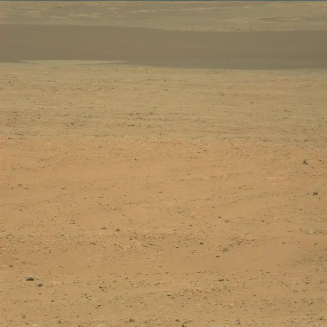 Sol 25: Mast Camera (Mastcam)