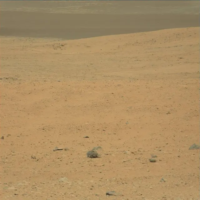 Sol 25: Mast Camera (Mastcam)