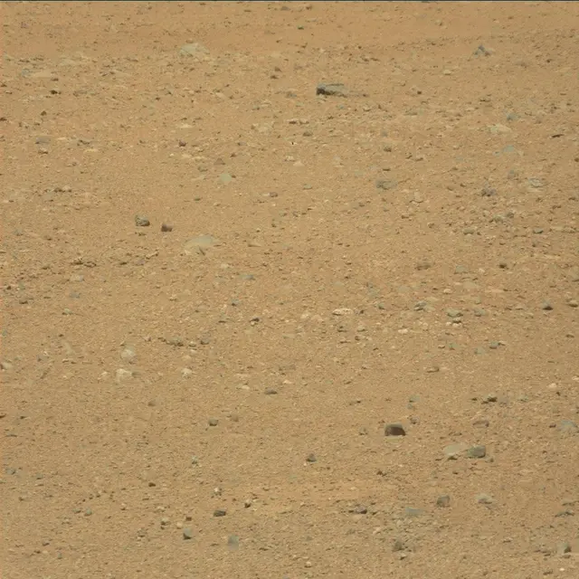 Sol 25: Mast Camera (Mastcam)