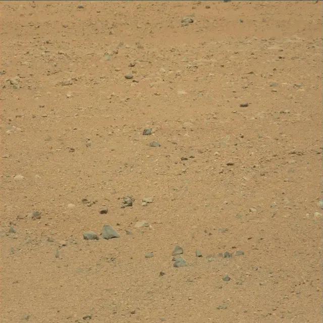 Sol 25: Mast Camera (Mastcam)