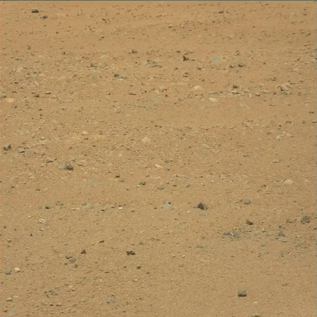 Sol 25: Mast Camera (Mastcam)