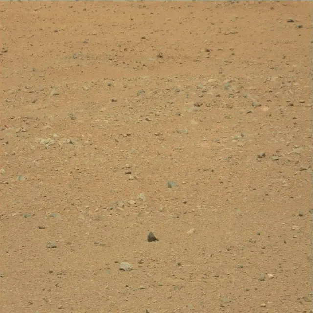 Sol 25: Mast Camera (Mastcam)