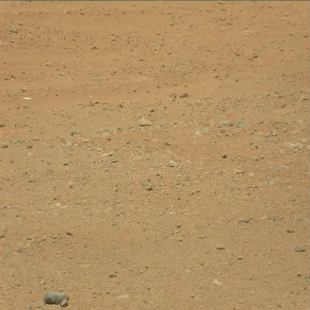 Sol 25: Mast Camera (Mastcam)
