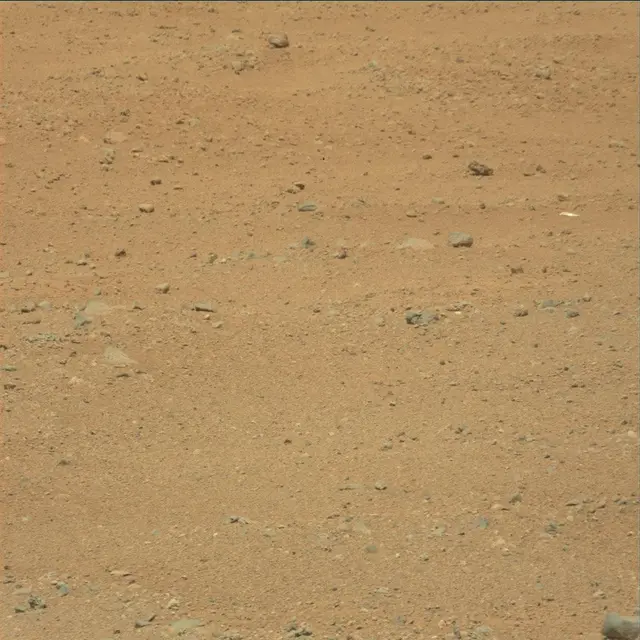 Sol 25: Mast Camera (Mastcam)