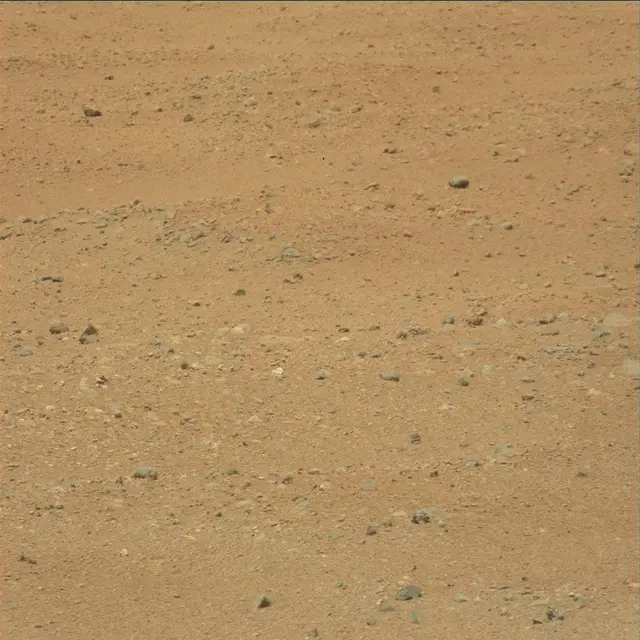 Sol 25: Mast Camera (Mastcam)