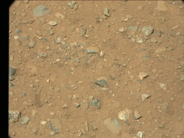 Sol 25: Mast Camera (Mastcam)