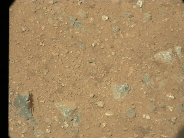 Sol 25: Mast Camera (Mastcam)