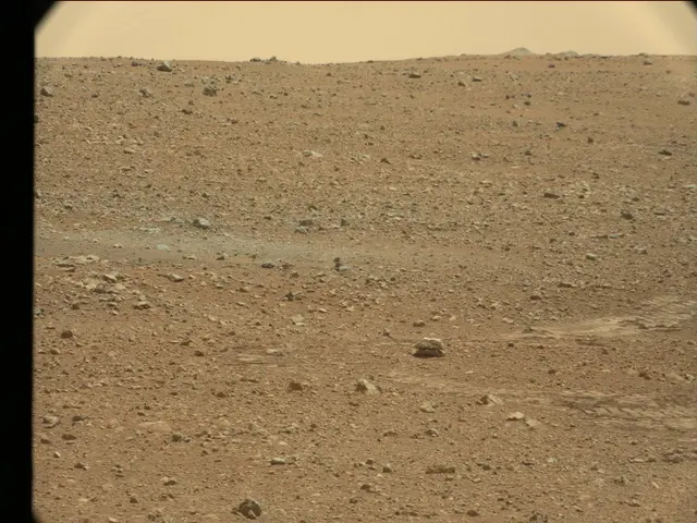 Sol 25: Mast Camera (Mastcam)