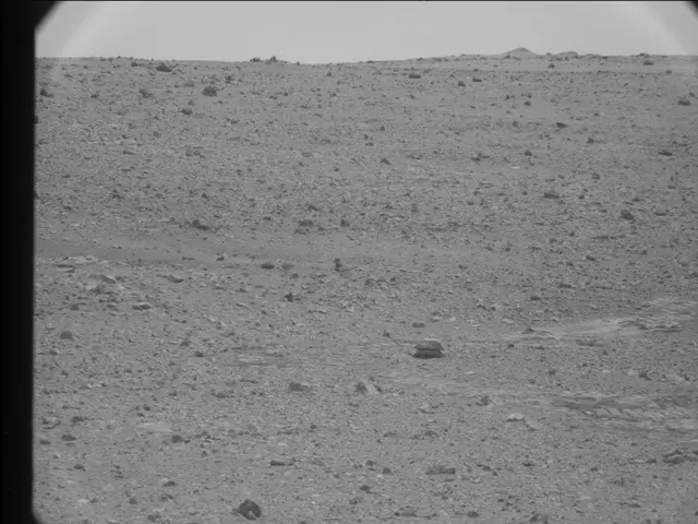 Sol 25: Mast Camera (Mastcam)