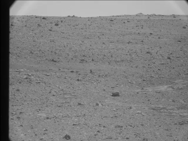 Sol 25: Mast Camera (Mastcam)