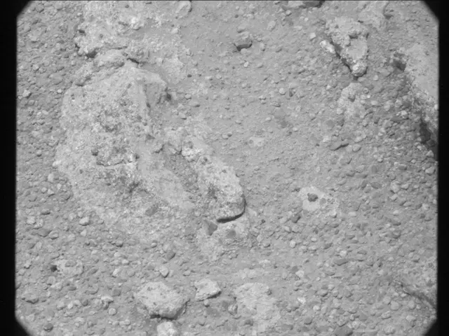 Sol 27: Mast Camera (Mastcam)