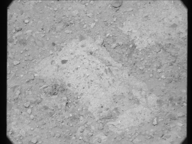 Sol 27: Mast Camera (Mastcam)