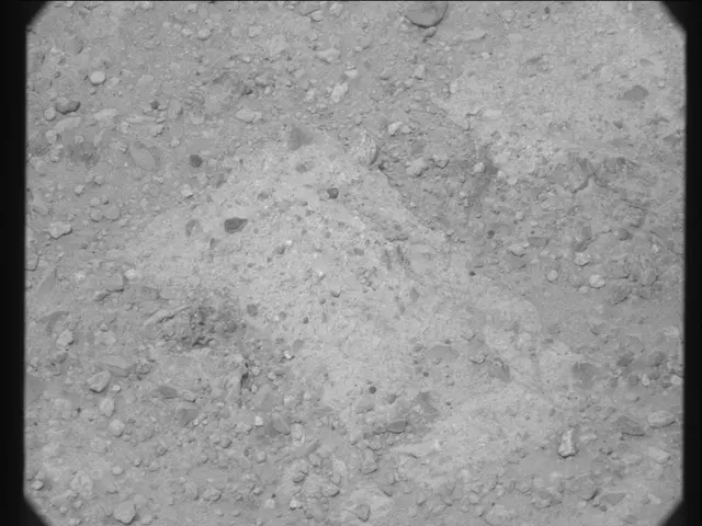 Sol 27: Mast Camera (Mastcam)