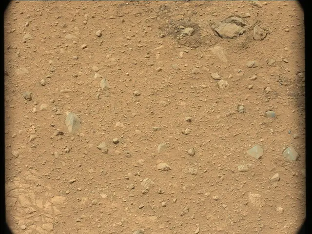 Sol 30: Mast Camera (Mastcam)