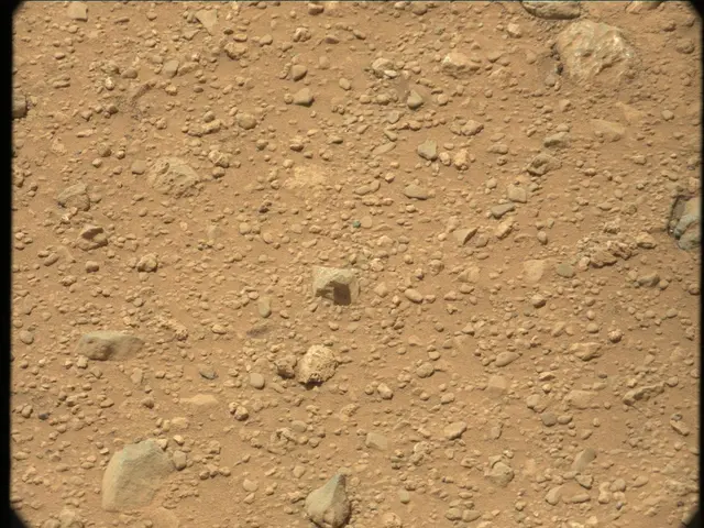 Sol 30: Mast Camera (Mastcam)