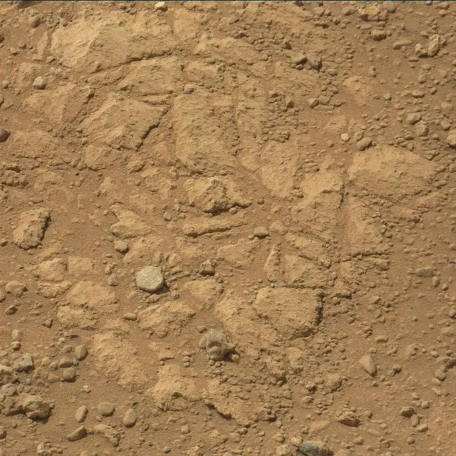Sol 30: Mast Camera (Mastcam)
