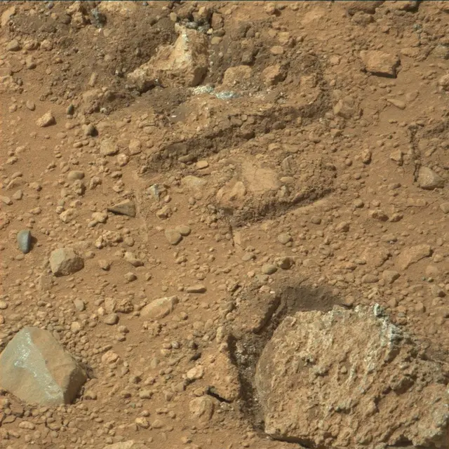 Sol 30: Mast Camera (Mastcam)