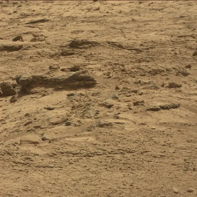 Sol 64: Mast Camera (Mastcam)