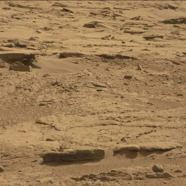 Sol 64: Mast Camera (Mastcam)