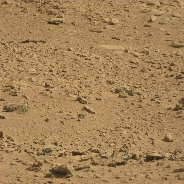 Sol 64: Mast Camera (Mastcam)