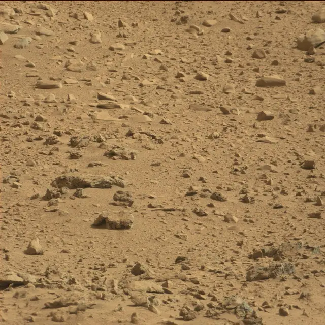Sol 64: Mast Camera (Mastcam)